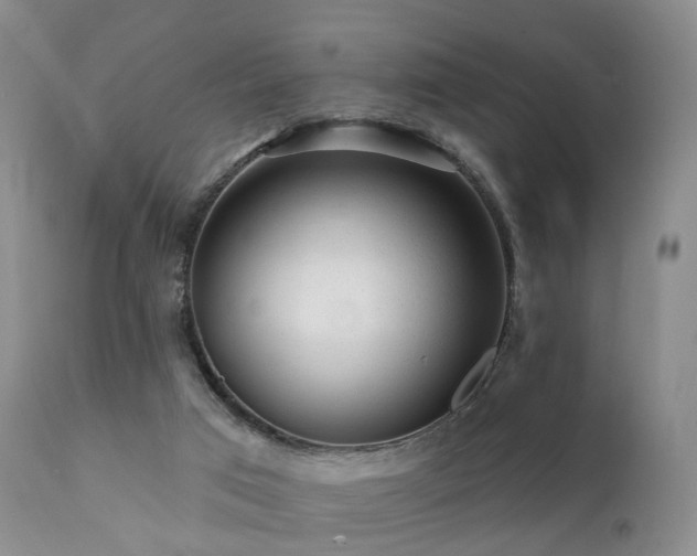 X0000112100017200908111429