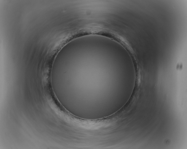 X0000112100018200908111429