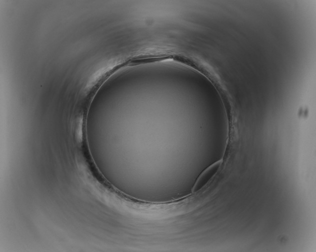 X0000112100019200908111429