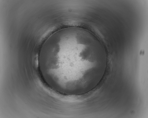 X0000112100020200908111429