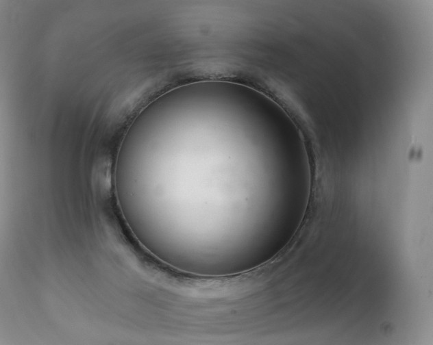 X0000112100021200908111429