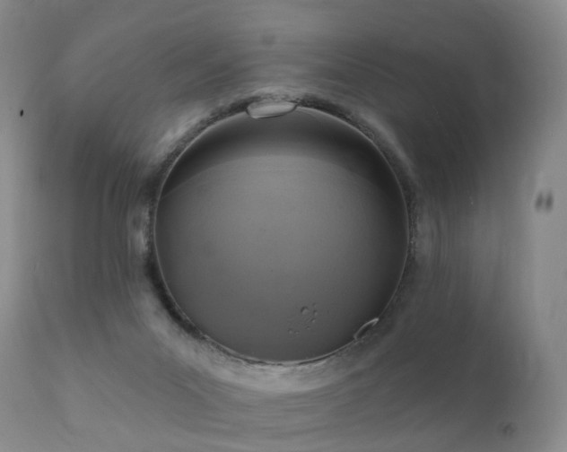 X0000112100023200908111429