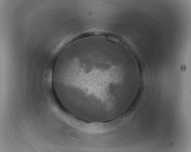 X0000112100024200908111429