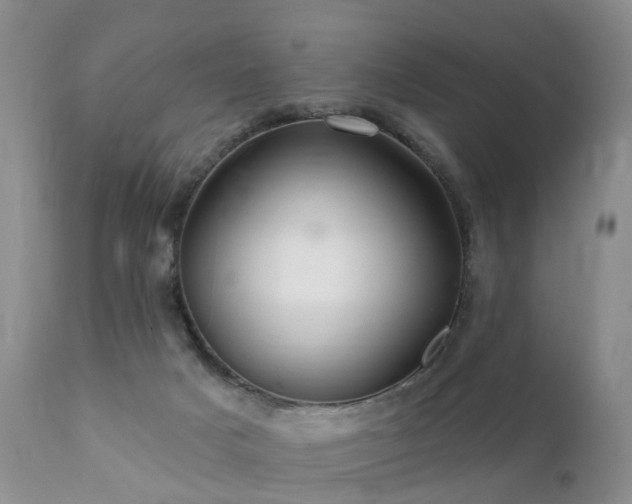X0000112100025200908111429