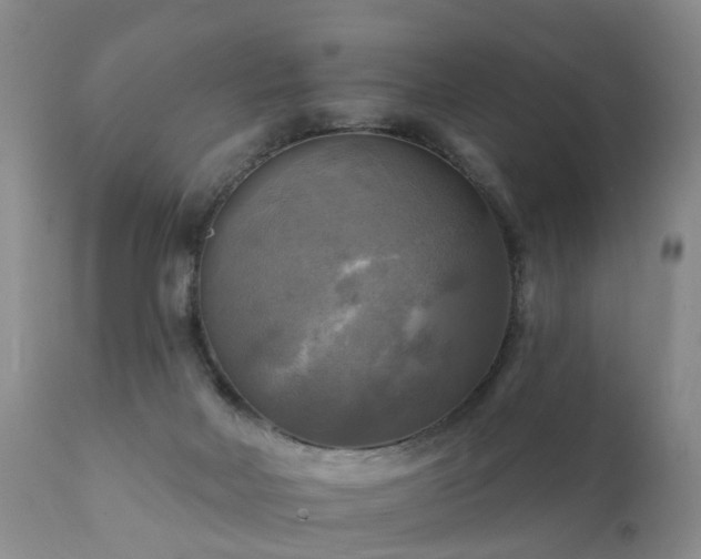 X0000112100026200908111429