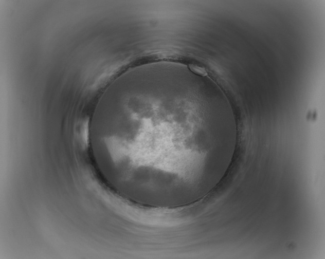 X0000112100028200908111429