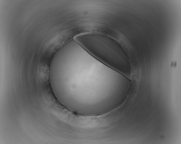 X0000112100029200908111429