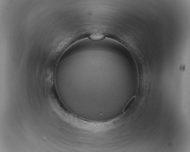 X0000112100031200908111429