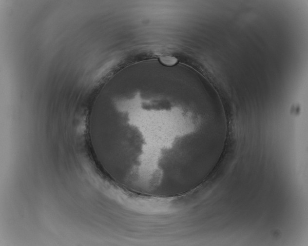 X0000112100032200908111429
