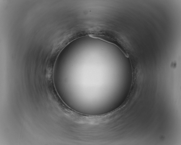 X0000112100033200908111429