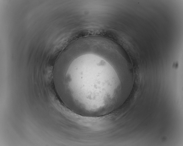X0000112100034200908111429