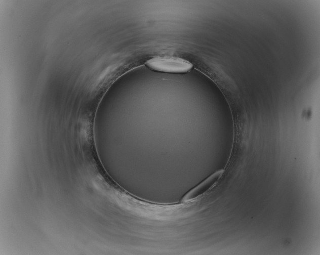 X0000112100035200908111429