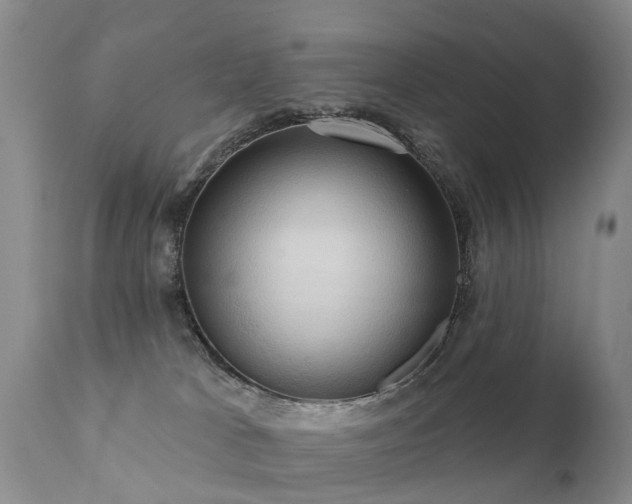 X0000112100037200908111429