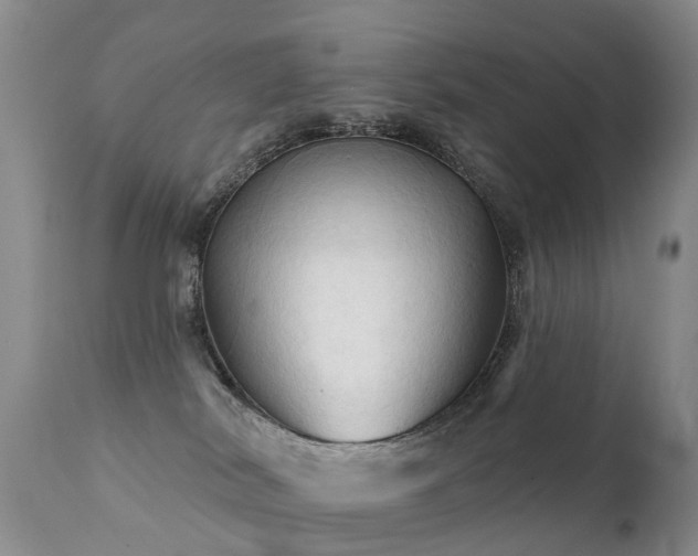 X0000112100038200908111429