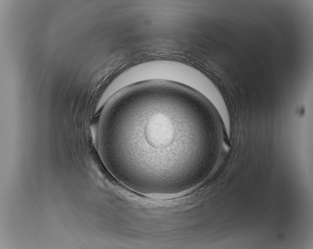 X0000112100039200908111429