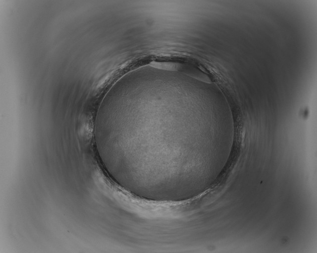 X0000112100040200908111429