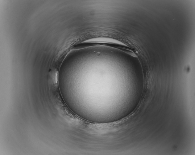 X0000112100041200908111429