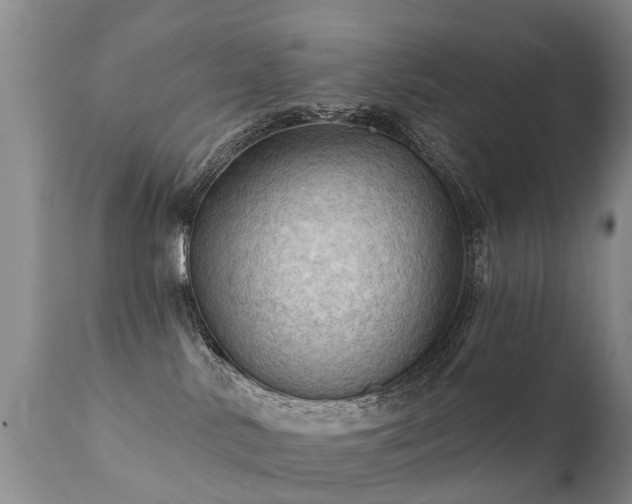 X0000112100042200908111429