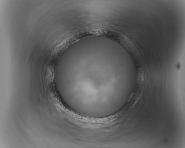 X0000112100043200908111428