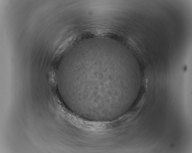 X0000112100044200908111428
