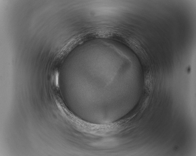 X0000112100046200908111428