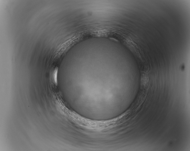 X0000112100047200908111428