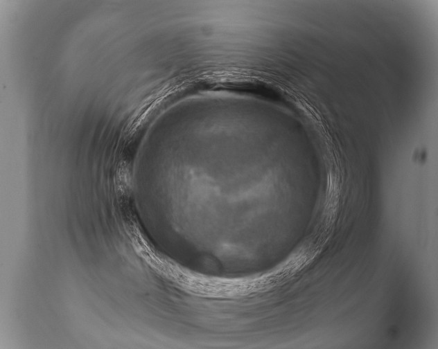 X0000112100048200908111428