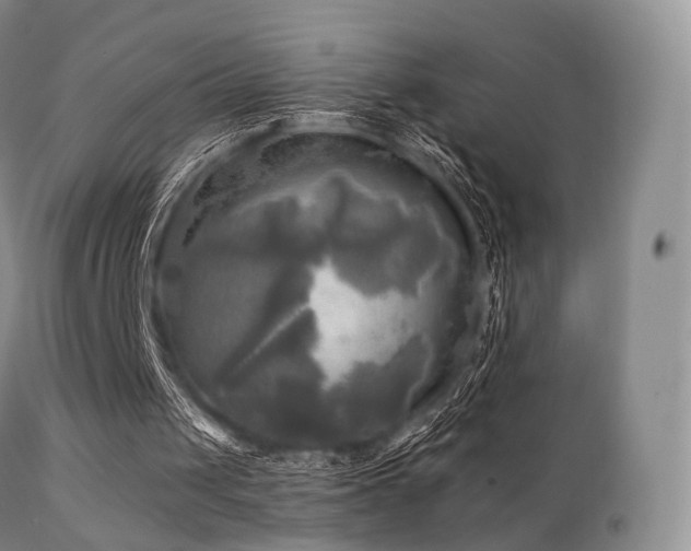 X0000112100049200908111428