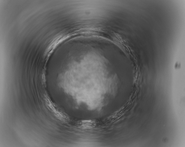 X0000112100050200908111428