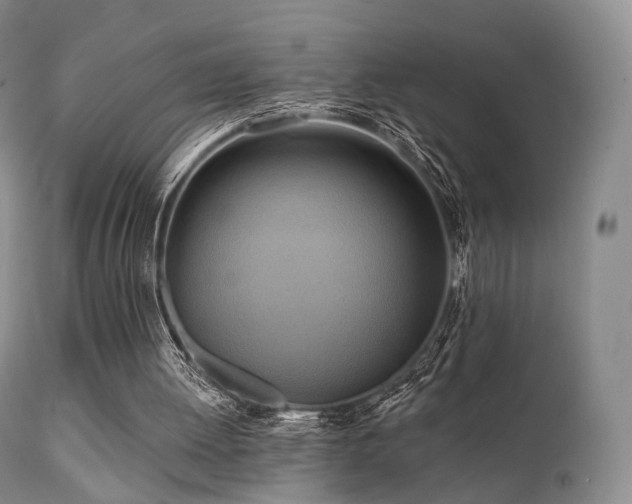 X0000112100052200908111428