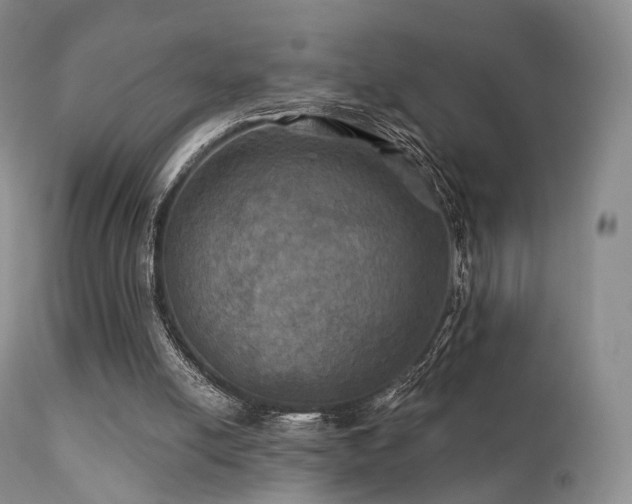 X0000112100054200908111428