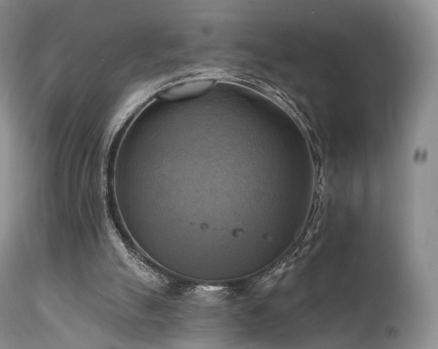 X0000112100055200908111428