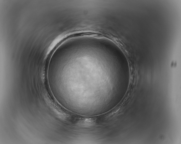 X0000112100056200908111428