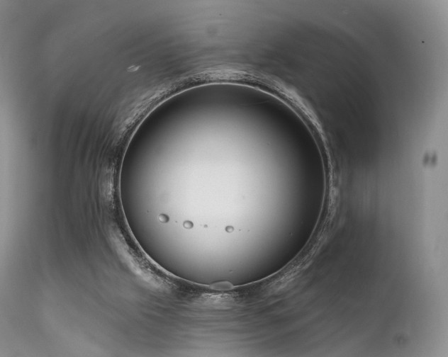 X0000112100057200908111428