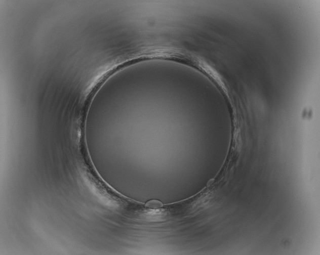 X0000112100059200908111428