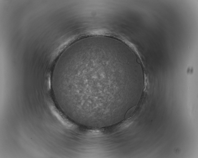 X0000112100061200908111428