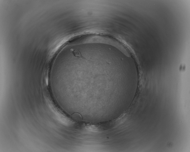 X0000112100062200908111428