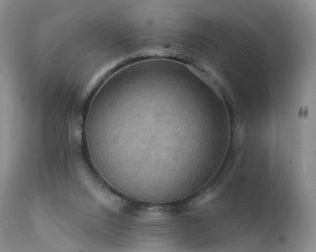 X0000112100064200908111428