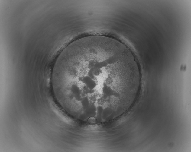 X0000112100065200908111428