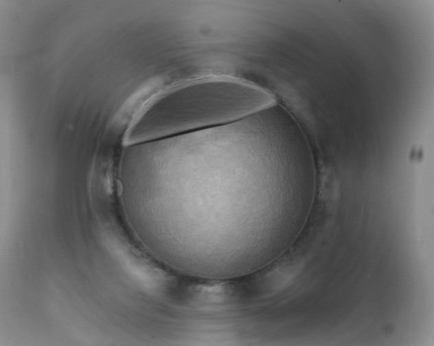 X0000112100068200908111428
