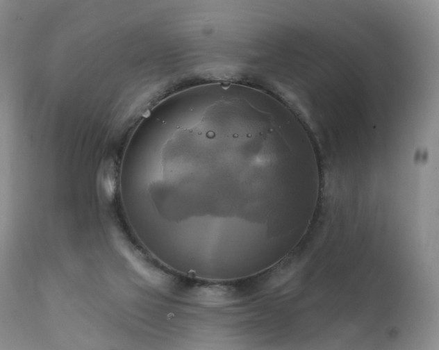 X0000112100069200908111428