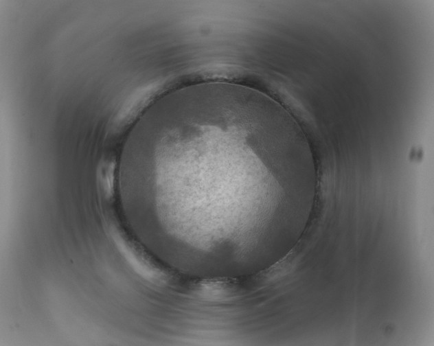 X0000112100070200908111428