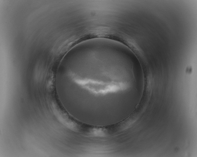 X0000112100073200908111428
