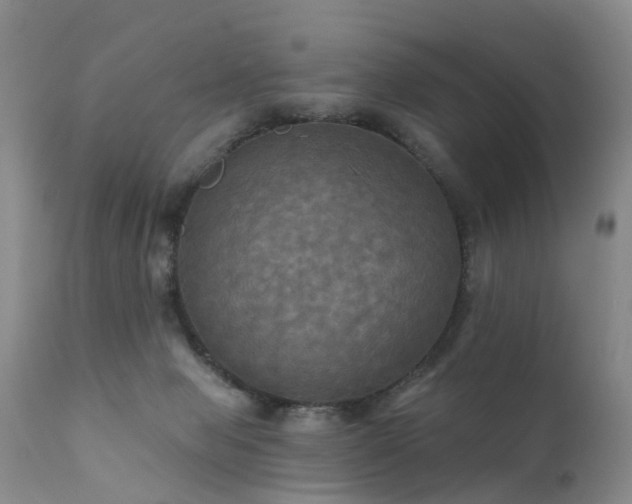 X0000112100077200908111428