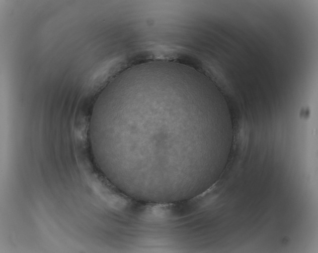 X0000112100078200908111428