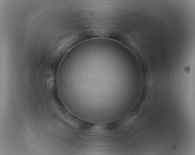 X0000112100080200908111428