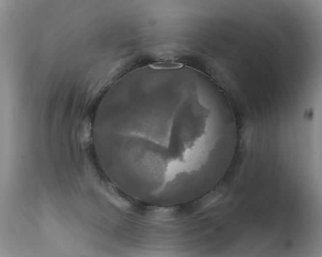 X0000112100081200908111428