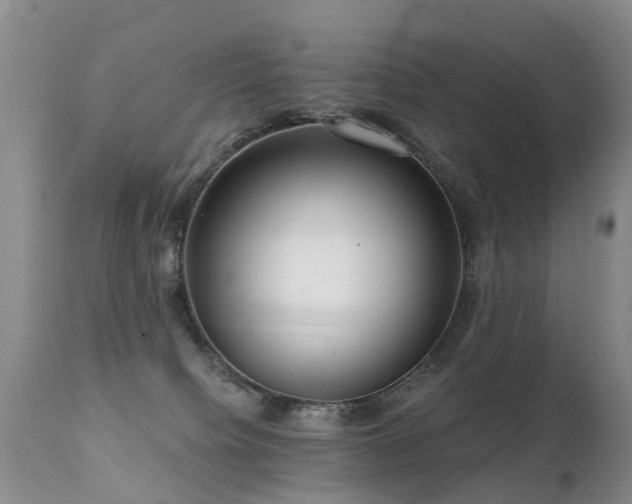 X0000112100084200908111428