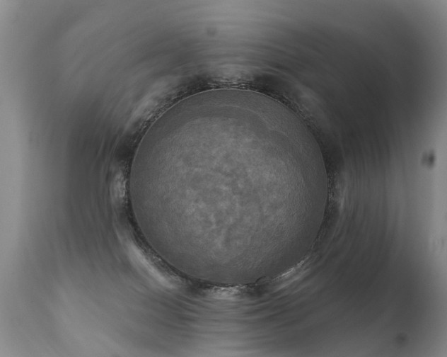 X0000112100086200908111428