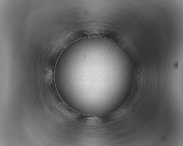 X0000112100087200908111428